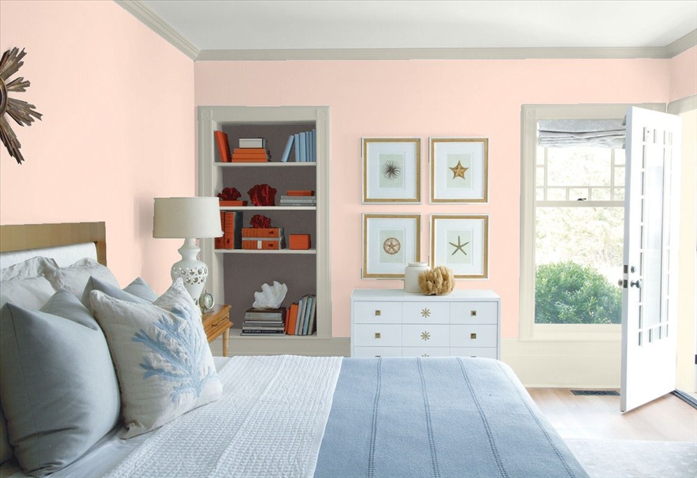 sunlit coral